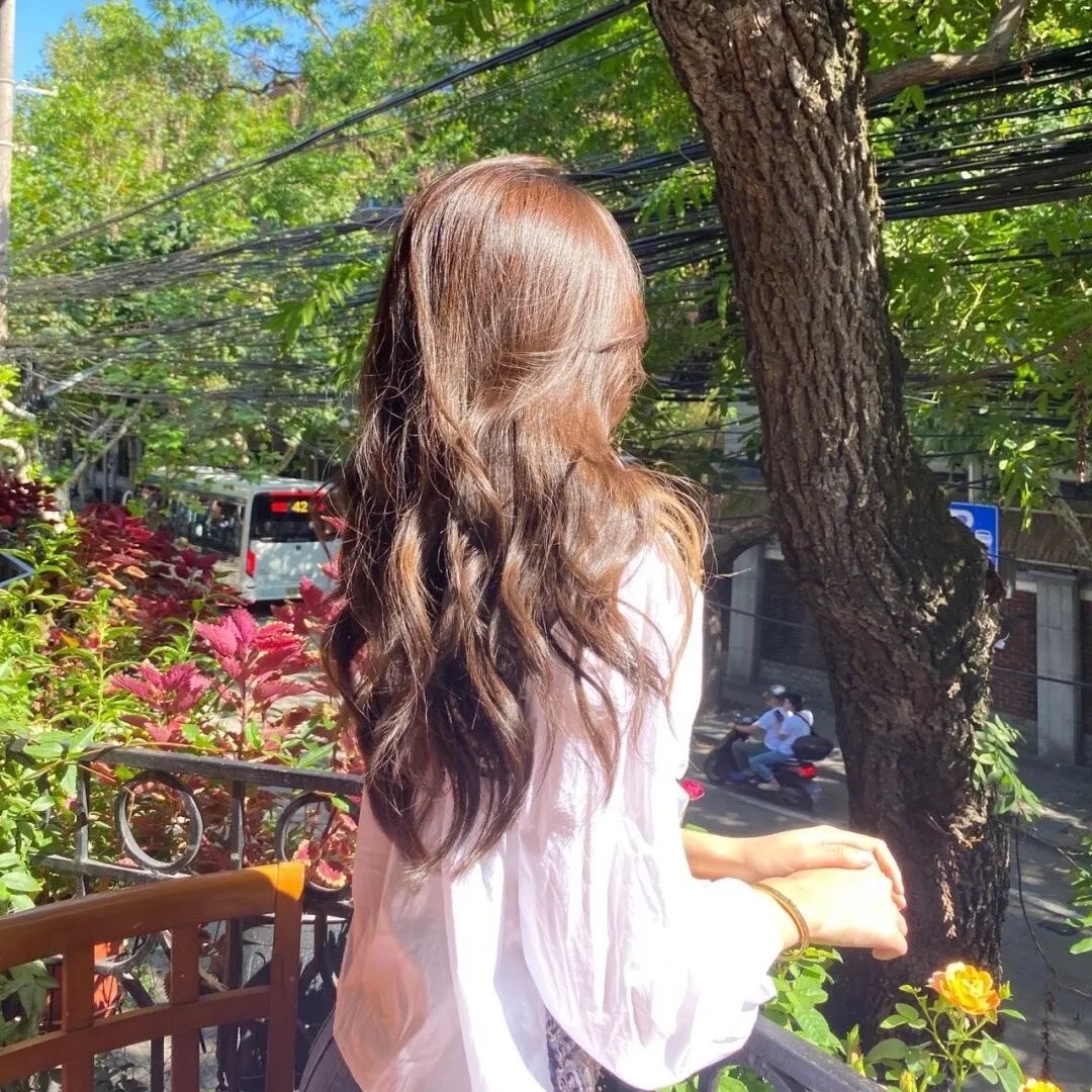 狐狸的夏天1
